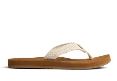 Reef - Baja Maria - Cj7338 1 - CJ7338-7